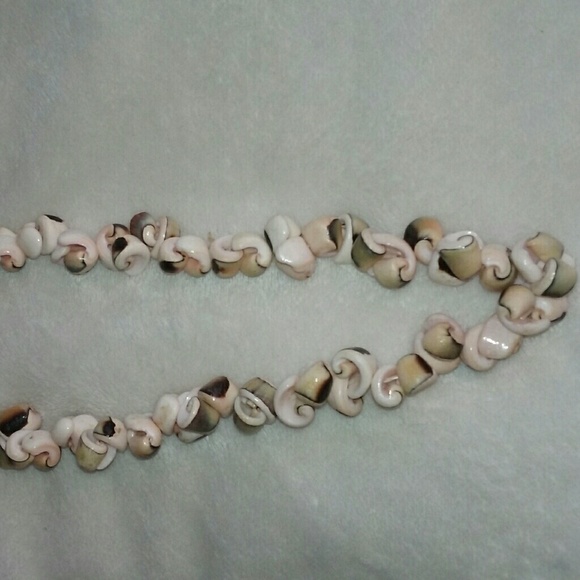 shell necklace - Picture 2 of 3